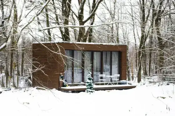 Greencube Paula