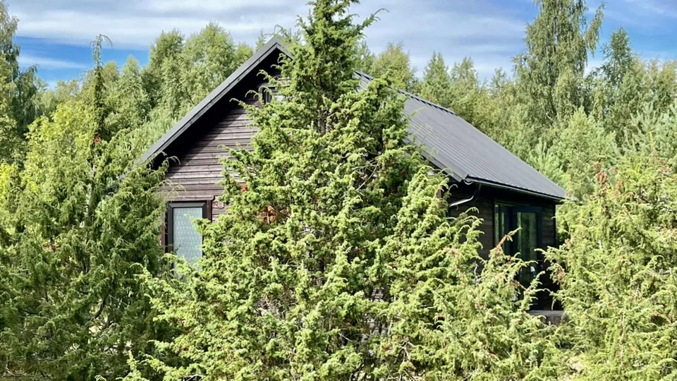 GreenCube tehtud töö